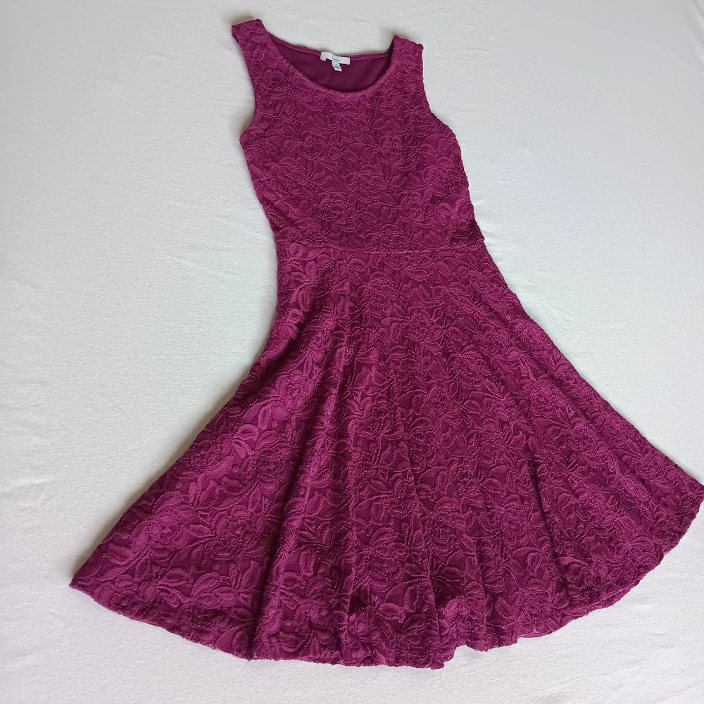 Soprano Pink Lace Floral Fit and Flare Sleeveless Skater Dress Size Small
